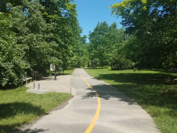 istock asphalt bike trail with trees 1173378643