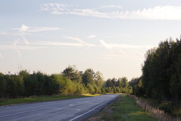 road in the countryside on a summer evening