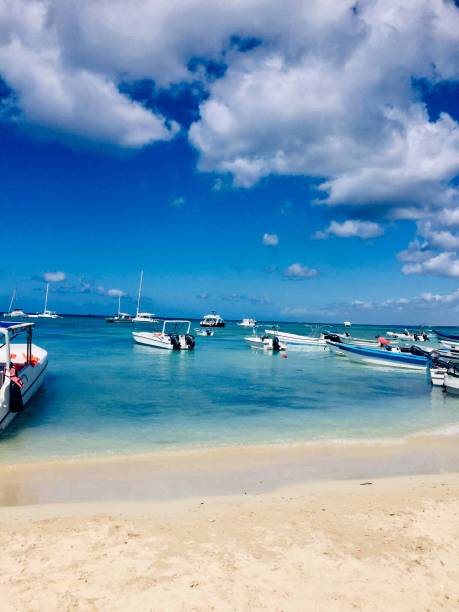 istock San Rafael beach, Punta Cana 1173379220