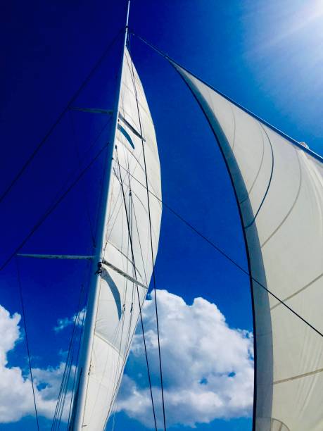 istock Sailing in Caribbean sea 1173379242