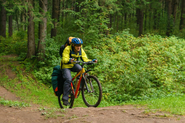istock bicycle hiker crosses a ravine in a spruce forest 1173379355