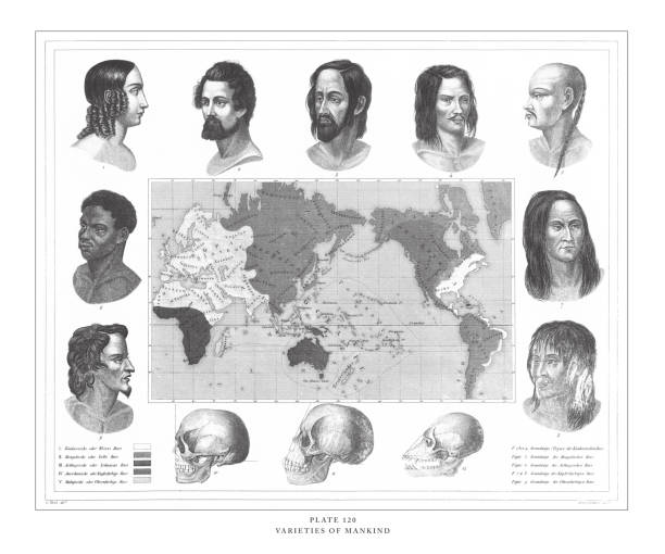 ilustrações, clipart, desenhos animados e ícones de variedades de gravura da humanidade ilustração antiga, publicado 1851 - mankind