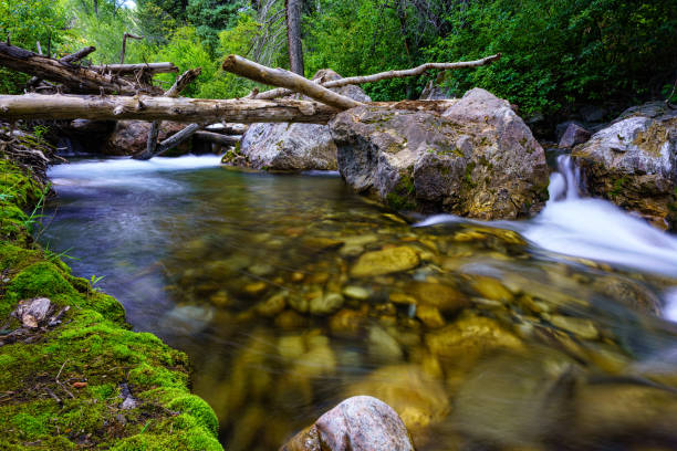 istock Clear Mountain Creek Nature Scenic 1173380865