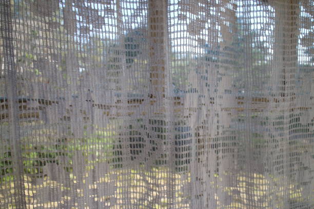 istock White transparent curtain in a rustic house 1173381173
