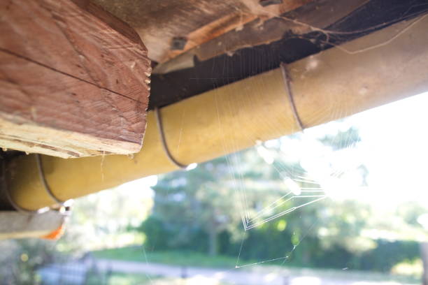 istock Web under the roof lit by the sun 1173381816