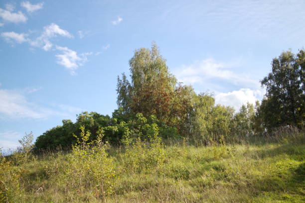 istock River banks and sky with cumulus clouds 1173381986