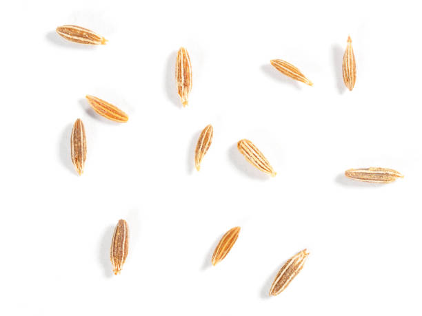 istock Cumin seeds (Cuminum), jeera on a white background. Macro photo 1173382152