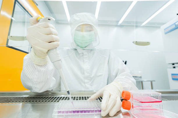 istock A scientist culturing cells and pipetting growth medium into petri dish and flasks for cell culture assay in Biological Safety Cabinet (BSC). 1173387036