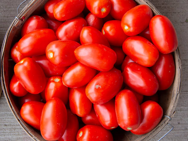 Bushel of Tomatoes stock photo