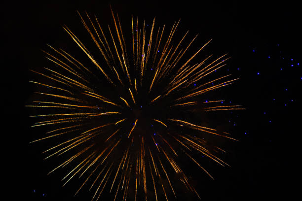 istock Bright lights of the firework on black sky 1173388476