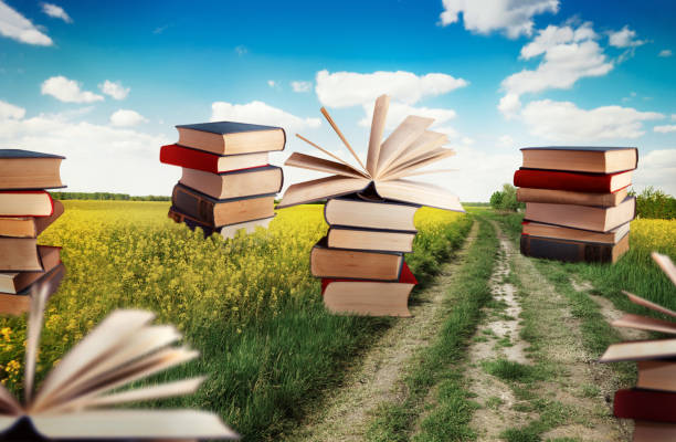 Piles of books in meadow, concept training and education