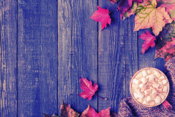 istock Autumn background with hot chocolate, knitted scarf, multi-colored leaves 1173393847