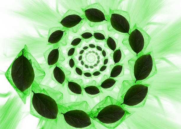 istock Spiral pattern of green leaves on a light green background. 1173394526