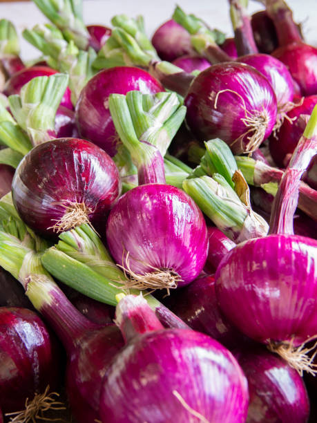 istock Heap of Red Onions 1173394920