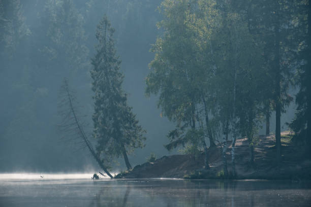 istock morning with fog on a lake in a forest 1173396290