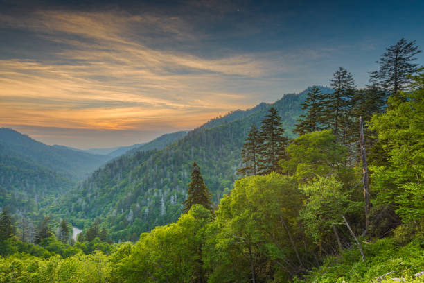 Newfound Gap Smoky Mountains Sunset at the Newfound Gap in the Great Smoky Mountains. newfound gap stock pictures, royalty-free photos & images