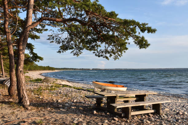 Idyllic coastline of the Baltic Sea with landed boat and benches stock photo
