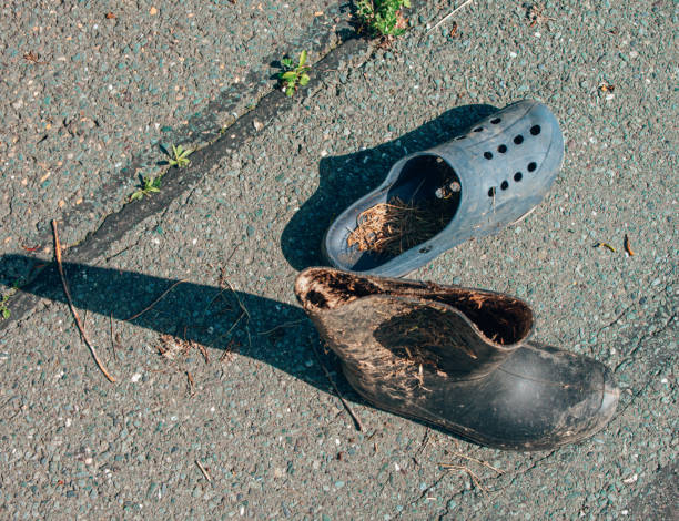 istock A single dirty blue clog and muddy gumboot 1173396922