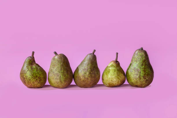 istock Horizontal row of organic pears on a pink background with copy space. Nutritious organically grown fruit. 1173398266