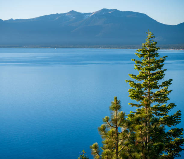 Dl Bliss South Lake Tahoe Landscape
