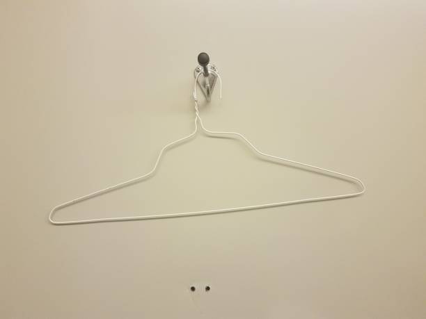 istock metal hanger on a bathroom stall door 1173399391