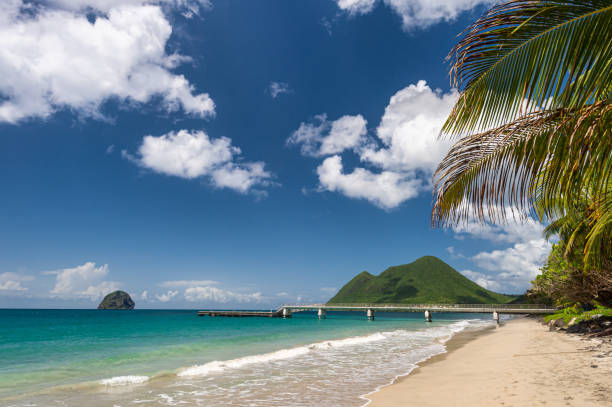 Le Diamant Beach, Diamond Rock & Morne Larcher in Martinique (2019)