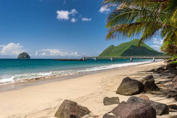 The Diamond Beach in Martinique (2019) stock photo