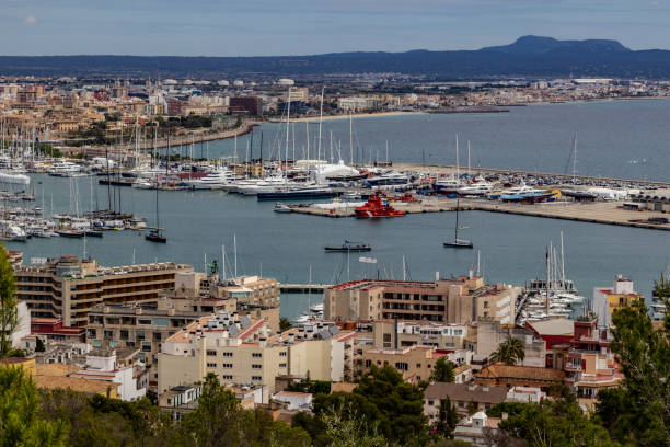 istock Panoramic view at Palma de Mallorca, Spain 1173407102