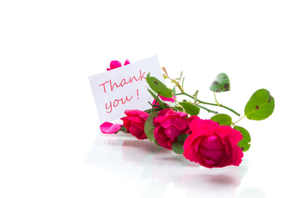 istock bouquet of beautiful red roses on a white 1173408490