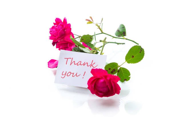 istock bouquet of beautiful red roses on a white 1173408511