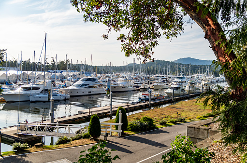 A view of Van Isle Marina in Sidney BC from Miraloma on the Cove.