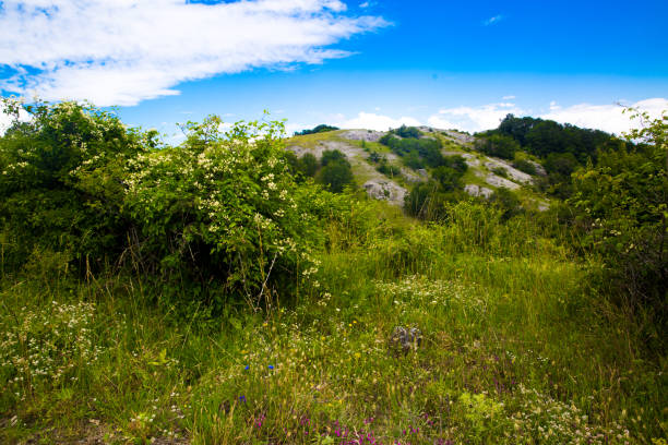 istock Bulgarian mountains, national park blue stones. Untouched nature. 1173409052
