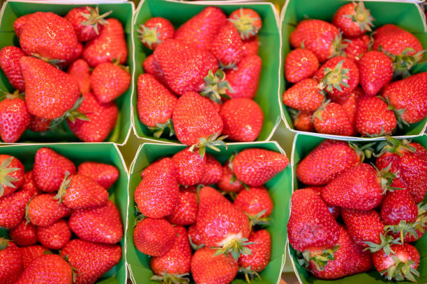 fresh strawberry background - 6720 imagens e fotografias de stock
