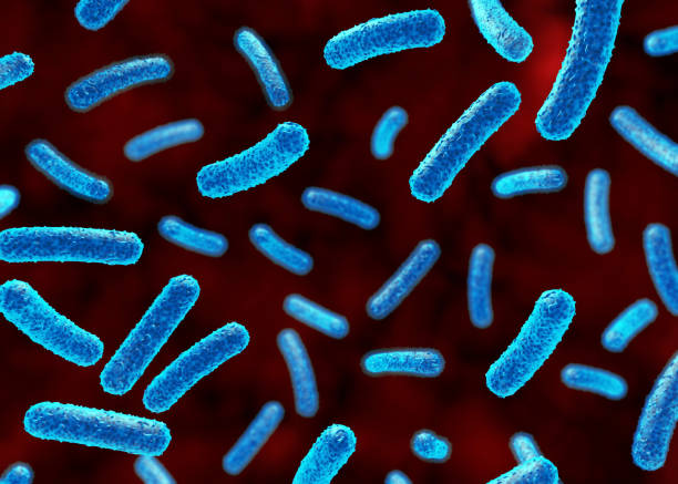istock Illustration of bacteria in the body 1173409378
