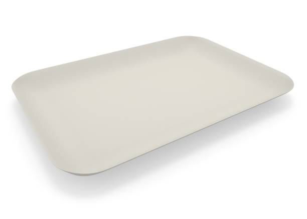 istock A cardboard saucer for a meal on white isolated background 1173410079