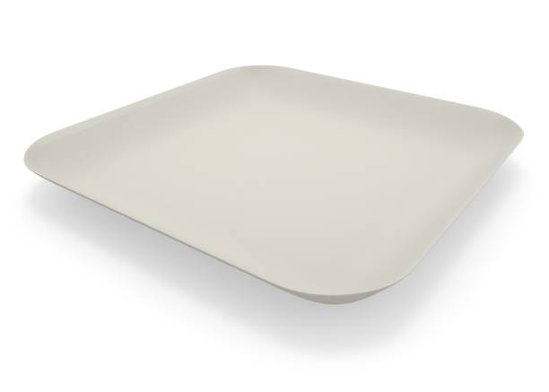 istock A cardboard saucer for a meal on white isolated background 1173410365