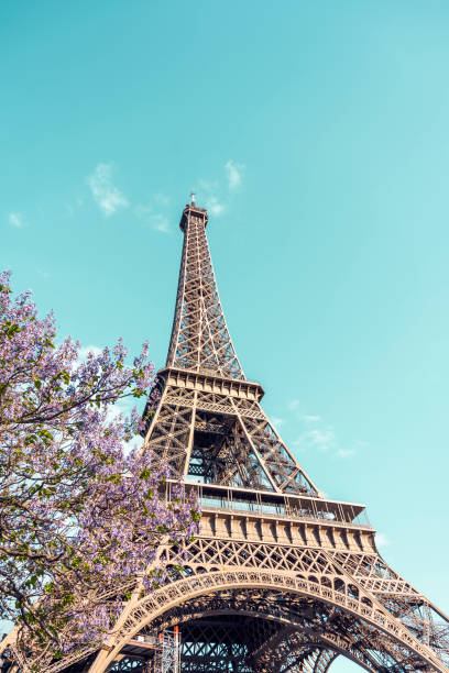 istock Spring colors in Paris - the Eiffel Tower and a flowering tree 1173410388
