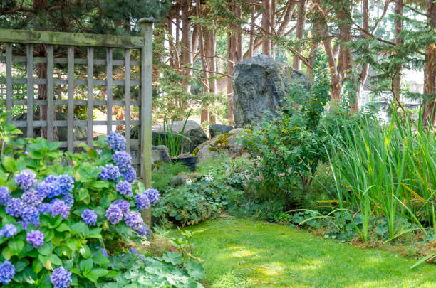 istock Urban Garden 6 1173410531