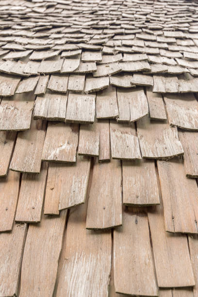 istock wooden roof-tile abstract pattern 1173415423
