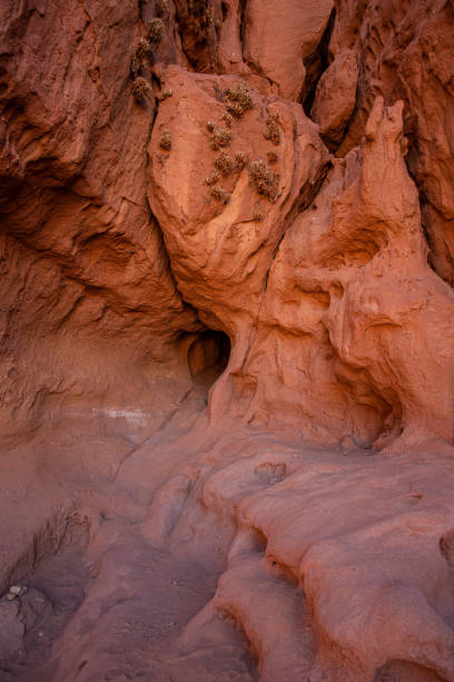 istock The punilla in Jujuy 1173415496