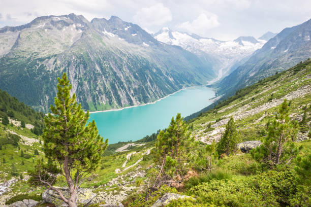 istock Blue lake in the Alps with pine tree in the foreground 1173415719