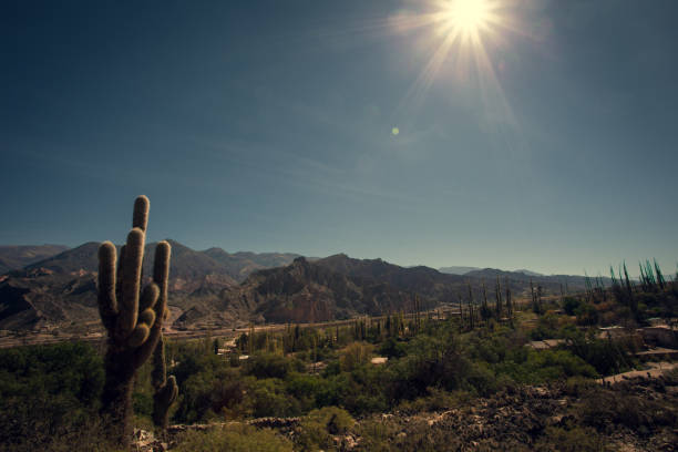 istock Ancient places of Tilcara 1173415824
