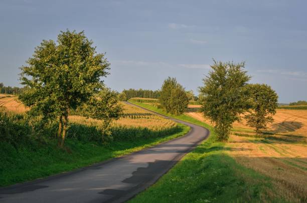 istock Beautiful summer afternoon landscape. 1173417216