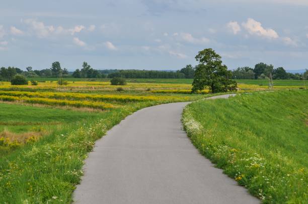 istock Beautiful summer landscape. 1173417221