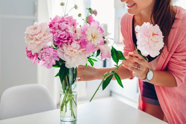 Woman puts peonies flowers in vase. Housewife taking care of coziness and decor on kitchen. Composing bouquet. stock photo