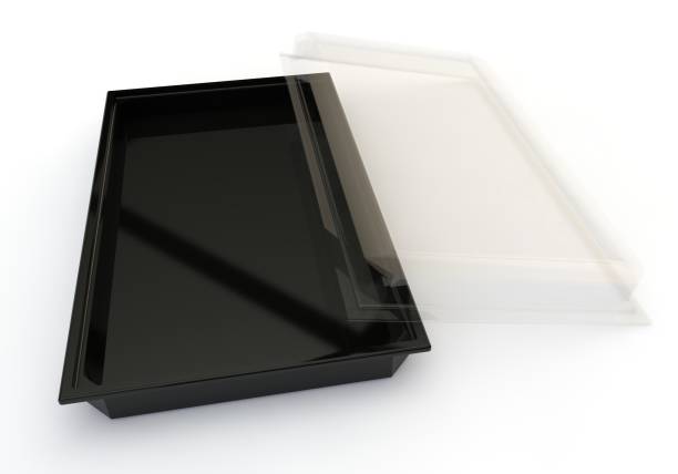 istock Empty container with a transparent lid for sushi, Japanese rolls and other products and goods 1173419315