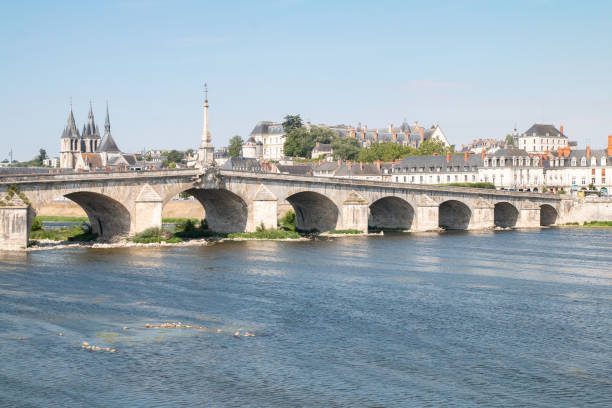 istock Blois from the Loire 1173421445