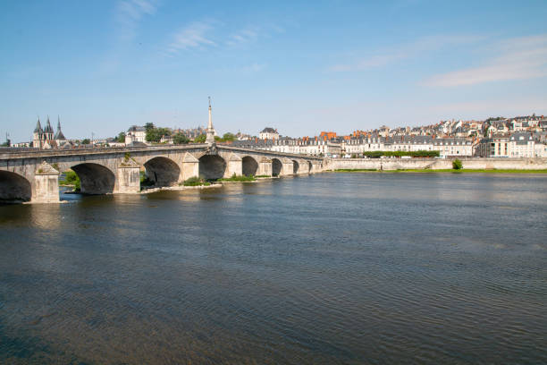 istock Blois from the Loire 1173421456