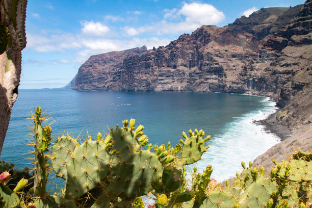 istock Cliffs of los Gigantes, Tenerife 1173421927