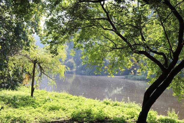 istock St James's Park in London 1173422615